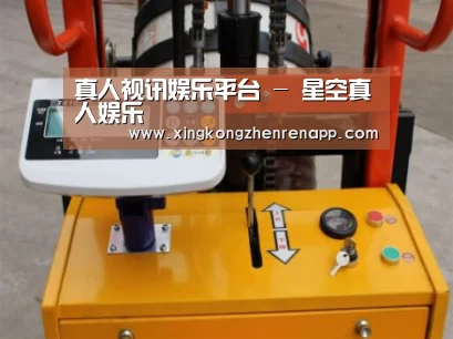 星空真人案例展示三(图1)