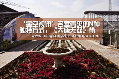 ‘星空视讯’名垂青史的N种独特方式,《大唐无双》带你即刻体验(图4) 星空真人